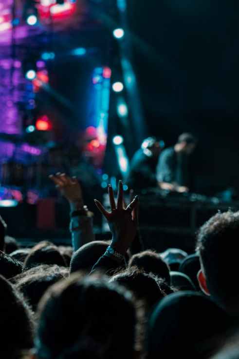 people on rock concert