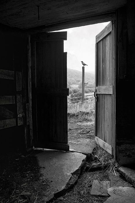 8ea53619dd858ed96aacdb02d5f3b9b4